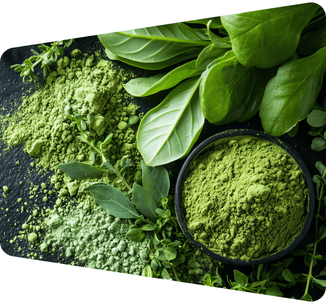 Matcha powder